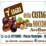 31120697_1469023109876438_1707214941516802577_n