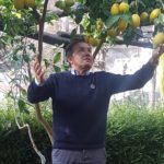 DE RISO E I LIMONI-min