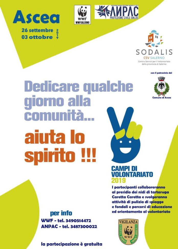 WhatsApp Image 2019-09-16 at 11.38.11