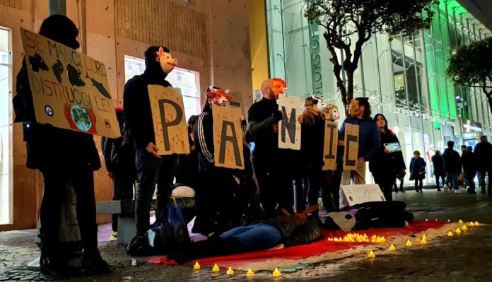 WhatsApp Image 2020-02-02 at 11.37.03