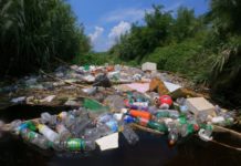 Fiume Sarno, approvata risoluzione in Consiglio Regionale. Fico: pulito in 4-5 anni