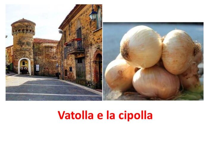 vatolla-e-la-cipolla