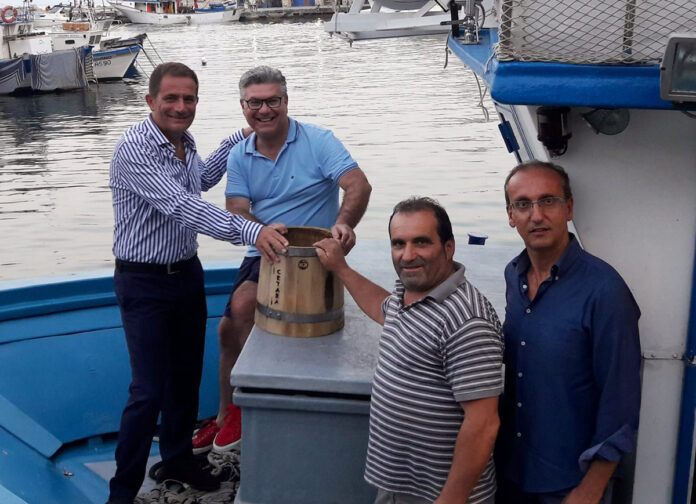 117781742_765396334254086_7285717386566081194_o