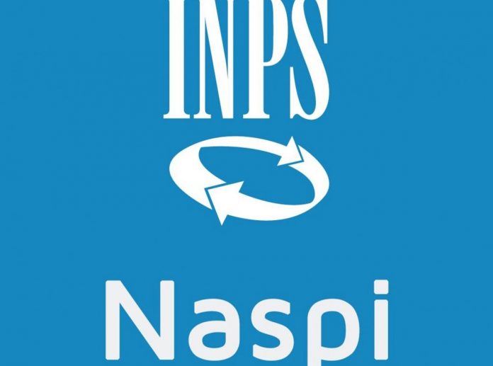 naspi_large