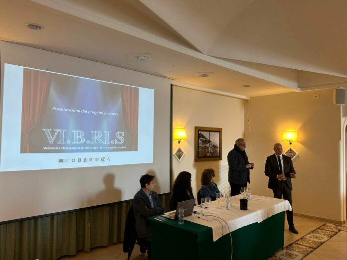Progetto vibris 02