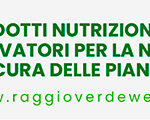 raggio-verde-banner-1024×120
