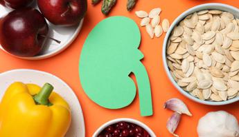 Natale, dieta mediterranea e menù delle feste: vademecum per la salute dei reni