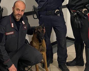 Omicidio Roberto Guerrisi, ritrovata l’arma del delitto grazie al fiuto del cane Cooper
