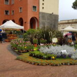 mostra della minerva aiuole