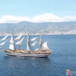 VESPUCCI e Bacchi fine