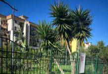 parco buongiorno salerno