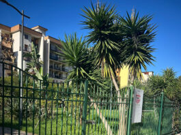 parco buongiorno salerno