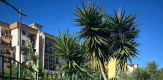 parco buongiorno salerno