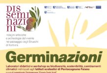 Germinazioni al Museo di Pontecagnano