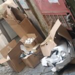 WhatsApp Image 2025-11-03 at 13.01.18