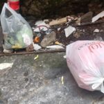 WhatsApp Image 2025-11-03 at 13.01.18(1)