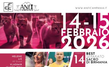 Paestum Cat Show – Love Edition 2026, esposizione felina internazionale