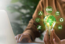 Perché le imprese cercano sempre più spesso nuove competenze green?