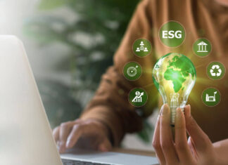 Perché le imprese cercano sempre più spesso nuove competenze green?