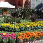 MOSTRA DELLA MINERVA VILLA COMUNALE copia