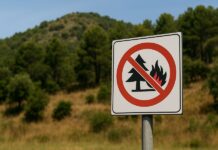 Antincendi boschivi: in Campania scattano i divieti estivi divieti incendi boschivi