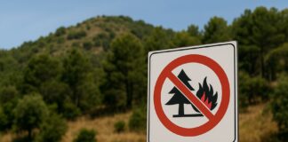 divieti incendi boschivi