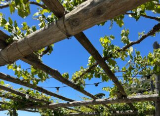 Slow Food, esperienze in Costiera