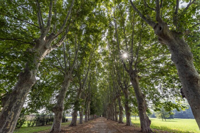 Inaugurazione Parco Real Polverificio Borbonico (8)