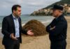 rimozione della Posidonia