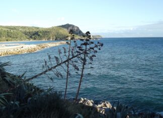 Il Cilento che si racconta: viaggio tra borghi, mare, arte e memoria
