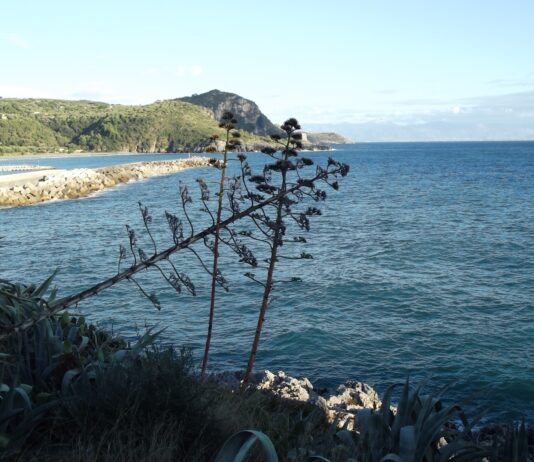 Il Cilento che si racconta: viaggio tra borghi, mare, arte e memoria