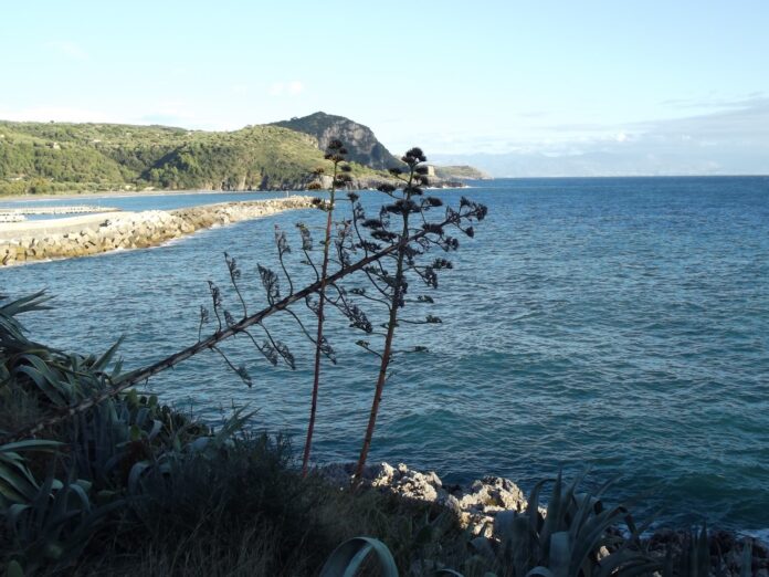 Marina_di_Camerota_(3)