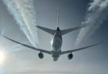 Cimici dei letti a bordo di un aereo proveniente dall’Australia, volo Qantas fermato a Fiumicino: cos’è successo