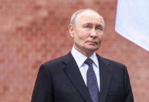 Putin compie 74 anni: dal trattore al coccodrillo, ecco i regali più assurdi ricevuti