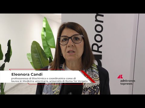 Università: Candi (Roma Tor Vergata), ‘futuri veterinari avvantaggiati da formazione pratica’