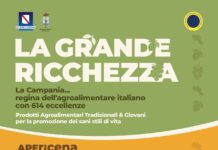 Apericena P.A.T. Acerno