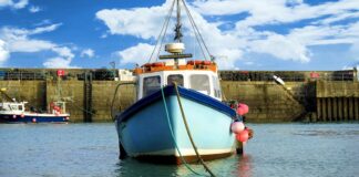 pesca artigianale Pollica