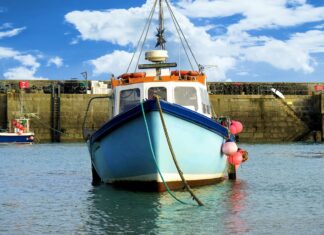 Agripesca promuove convegno sulla pesca artigianale a Pollica pesca artigianale Pollica