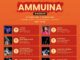 Ammuina: la III edizione della stagione teatrale a Lauro Ammuina stagione teatrale