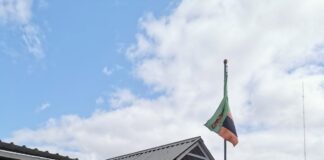 Pa Mpofu Zambia