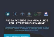 Ascea inaugura impianto di illuminazione per la tutela delle tartarughe illuminazione tartarughe Ascea