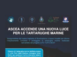 illuminazione tartarughe Ascea