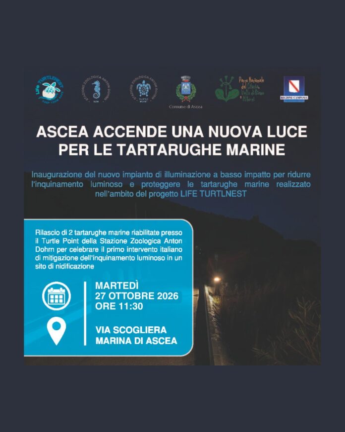 illuminazione tartarughe Ascea