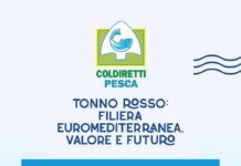 Coldiretti Pesca a Cetara: focus sul futuro del Tonno Rosso Tonno Rosso Cetara
