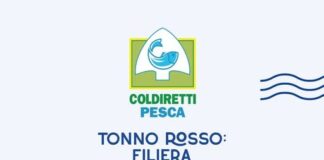 Tonno Rosso Cetara