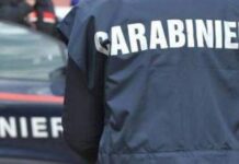 DDA Napoli comunicato