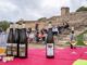 Concluso il 54° Congresso Nazionale FISAR e il Salone dei Vini della Magna Grecia FISAR Congresso Nazionale