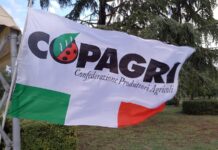 Copagri e Angela Pisacane: urgente difendere il reddito degli agricoltori crisi agricola