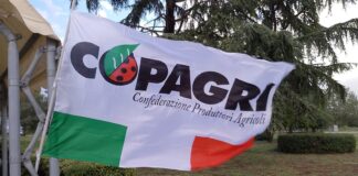 crisi agricola