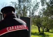 trasporto irregolare di rifiuti